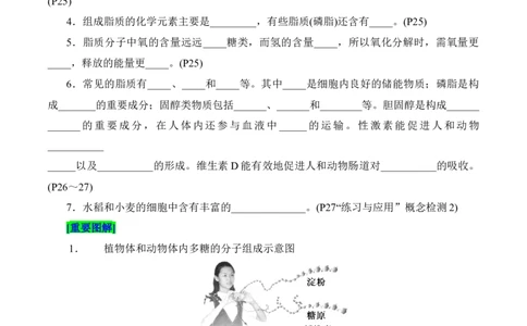 第2章组成细胞的分子（填空版）_2025年新高考资料_专项复习_晨读晚默备战2025年高考生物必背知识清单_第2章组成细胞的分子-晨读晚默备战2025年高考生物必背知识清单
