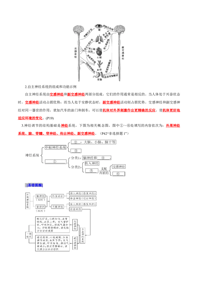 第2章神经调节（背诵版）_2025年新高考资料_专项复习_晨读晚默备战2025年高考生物必背知识清单_第2章神经调节-晨读晚默备战2025年高考生物必背知识清单