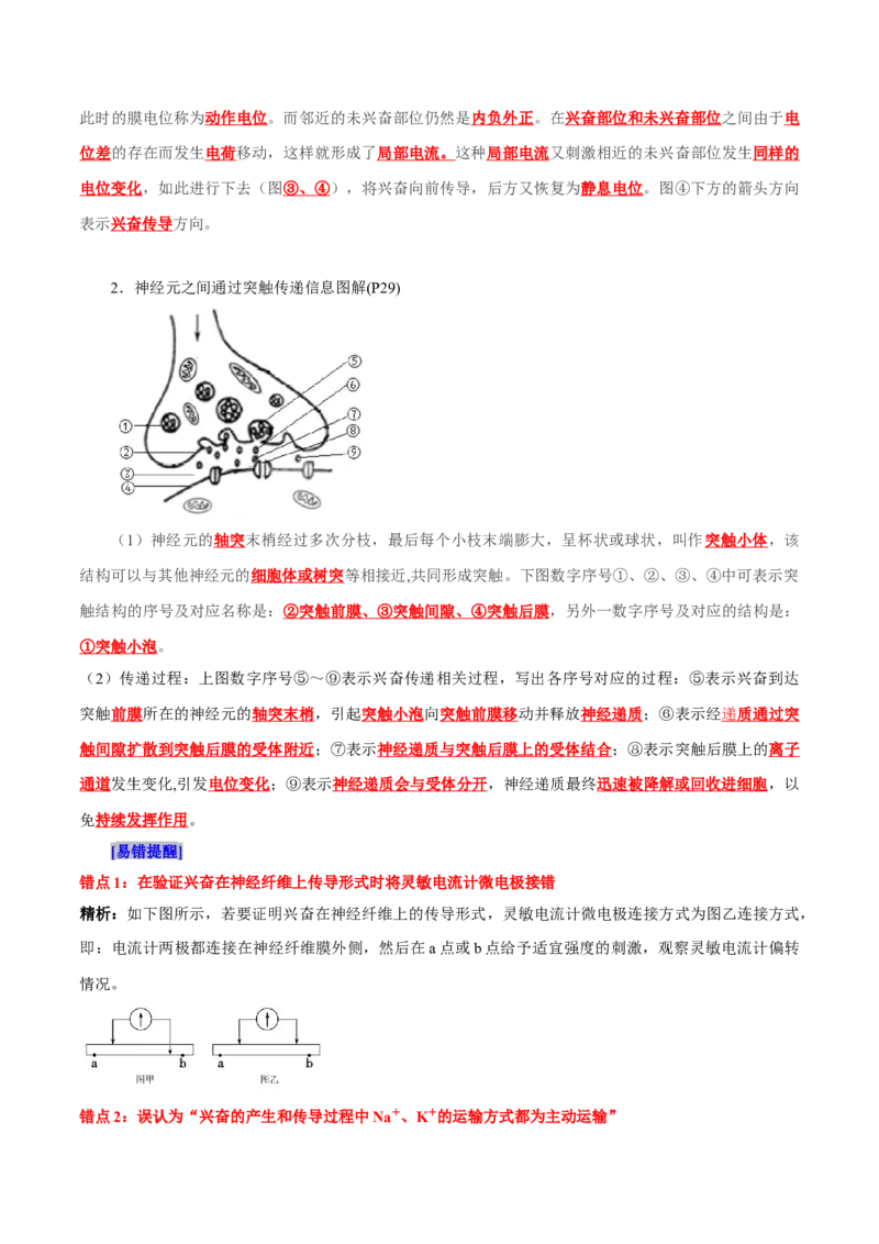 第2章神经调节（背诵版）_2025年新高考资料_专项复习_晨读晚默备战2025年高考生物必背知识清单_第2章神经调节-晨读晚默备战2025年高考生物必背知识清单