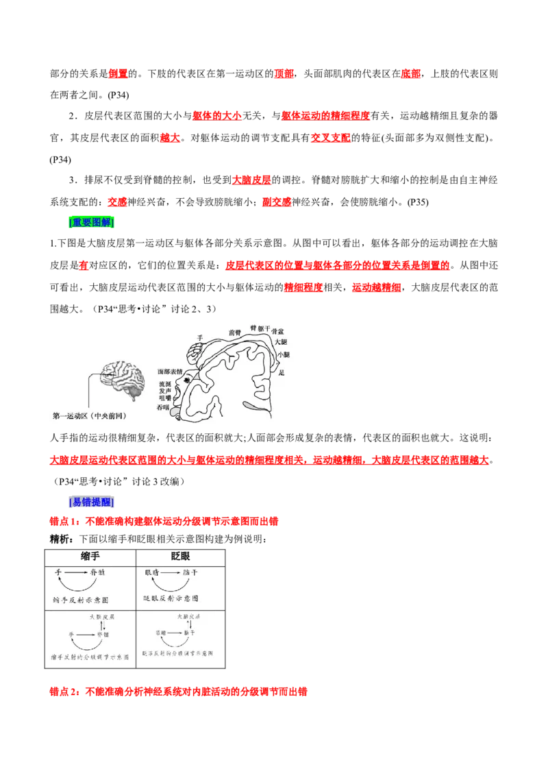 第2章神经调节（背诵版）_2025年新高考资料_专项复习_晨读晚默备战2025年高考生物必背知识清单_第2章神经调节-晨读晚默备战2025年高考生物必背知识清单