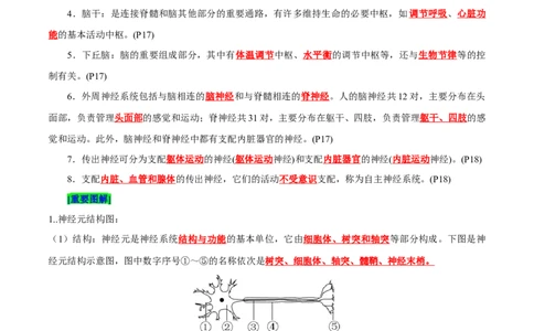 第2章神经调节（背诵版）_2025年新高考资料_专项复习_晨读晚默备战2025年高考生物必背知识清单_第2章神经调节-晨读晚默备战2025年高考生物必背知识清单
