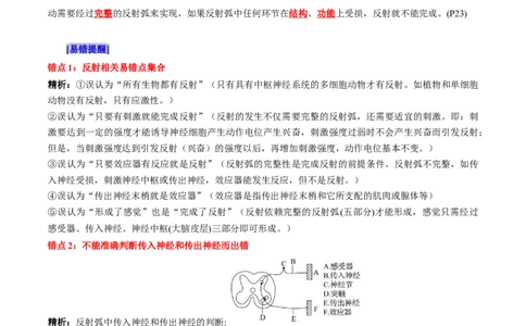 第2章神经调节（背诵版）_2025年新高考资料_专项复习_晨读晚默备战2025年高考生物必背知识清单_第2章神经调节-晨读晚默备战2025年高考生物必背知识清单