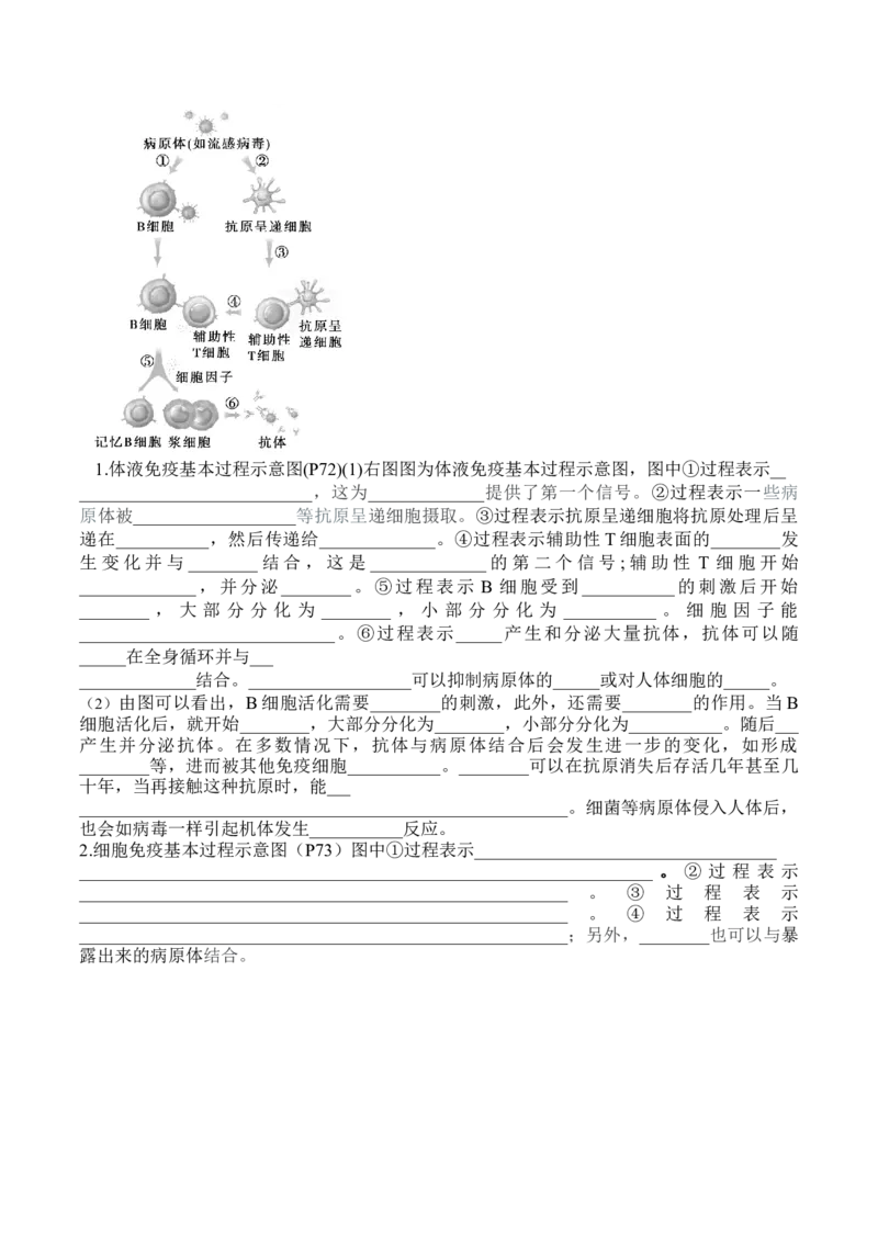 第4章免疫调节（填空版）_新高考复习资料_2025年新高考资料_晨读晚默备战2025年高考生物必背知识清单_第4章免疫调节-晨读晚默备战2025年高考生物必背知识清单