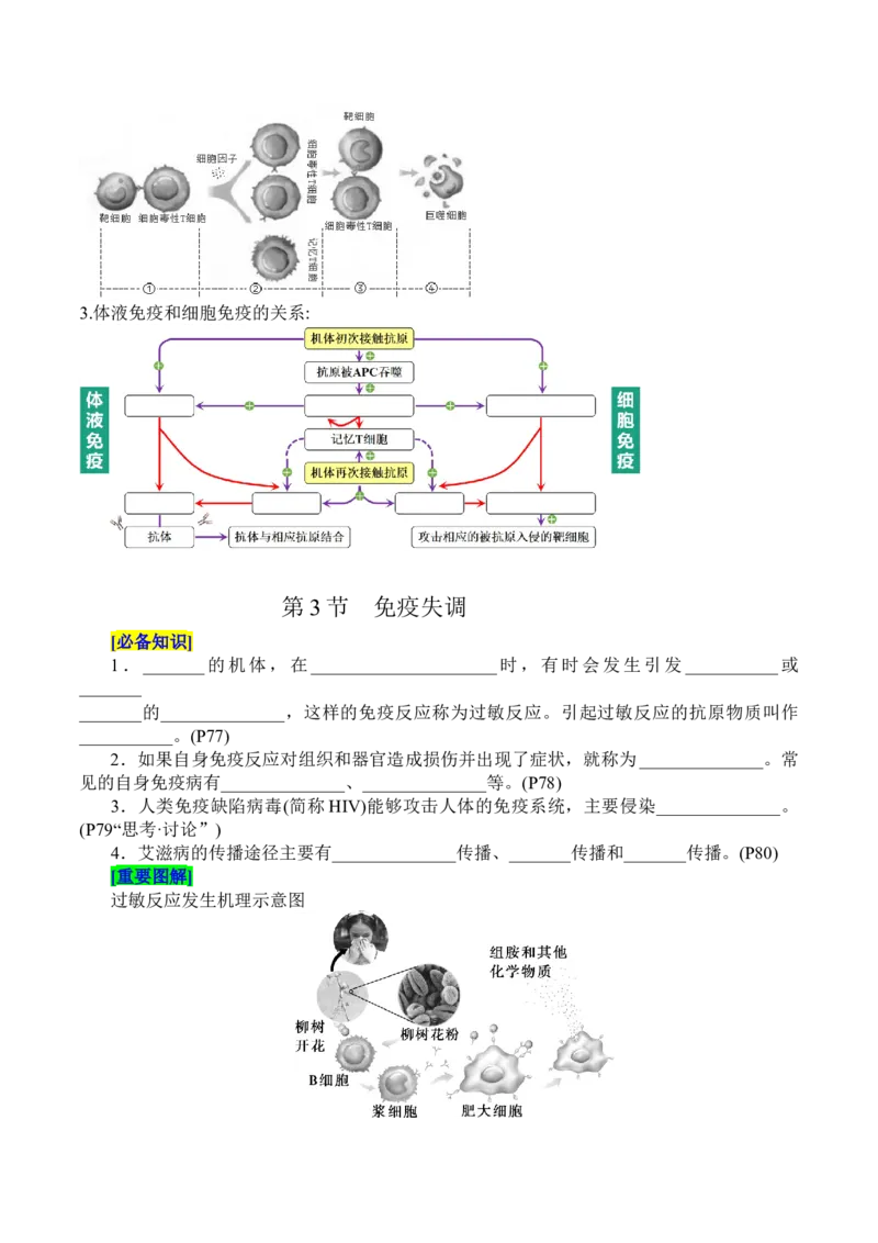 第4章免疫调节（填空版）_新高考复习资料_2025年新高考资料_晨读晚默备战2025年高考生物必背知识清单_第4章免疫调节-晨读晚默备战2025年高考生物必背知识清单
