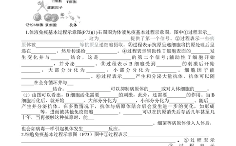 第4章免疫调节（填空版）_新高考复习资料_2025年新高考资料_晨读晚默备战2025年高考生物必背知识清单_第4章免疫调节-晨读晚默备战2025年高考生物必背知识清单