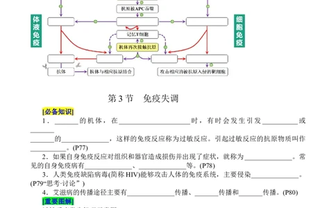 第4章免疫调节（填空版）_新高考复习资料_2025年新高考资料_晨读晚默备战2025年高考生物必背知识清单_第4章免疫调节-晨读晚默备战2025年高考生物必背知识清单