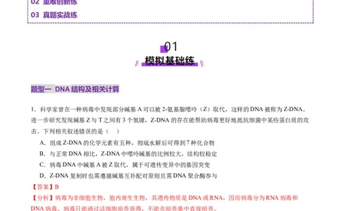 第20讲DNA分子的结构、复制与基因的本质（练习）（解析版）_2025年新高考资料_一轮复习_2025年高考生物一轮复习讲练测（新教材新高考）