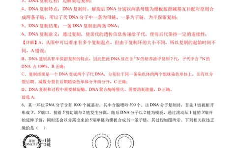 第20讲DNA分子的结构、复制与基因的本质（练习）（解析版）_2025年新高考资料_一轮复习_2025年高考生物一轮复习讲练测（新教材新高考）