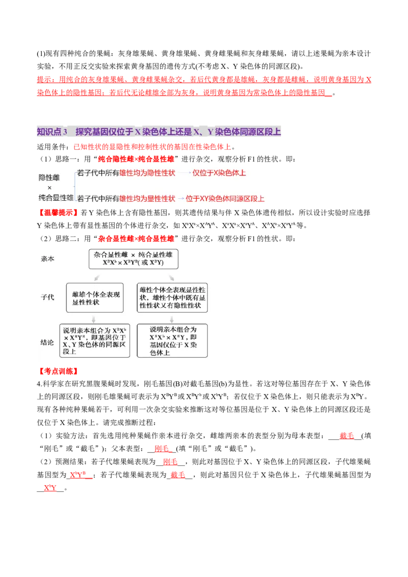 第18讲遗传综合实验分析（讲义）（解析版）_2025年新高考资料_一轮复习_2025年高考生物一轮复习讲练测（新教材新高考）