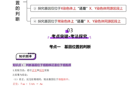 第18讲遗传综合实验分析（讲义）（解析版）_2025年新高考资料_一轮复习_2025年高考生物一轮复习讲练测（新教材新高考）