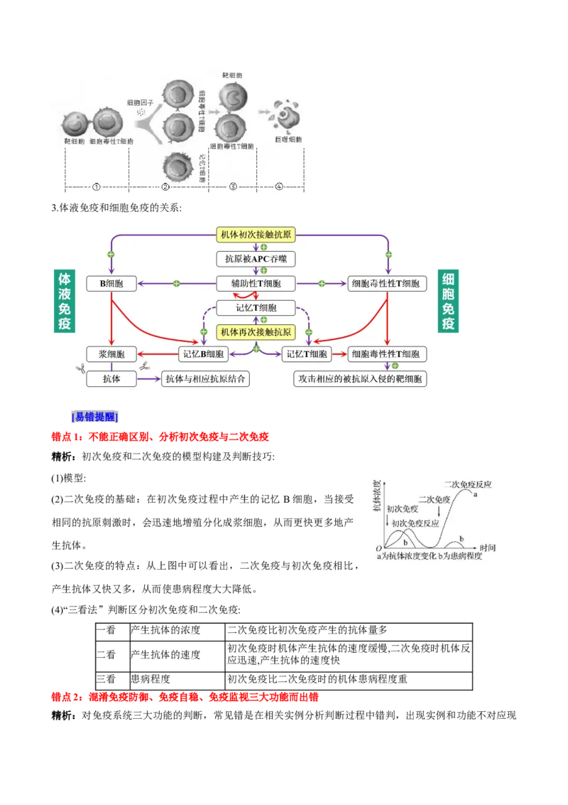 第4章免疫调节（背诵版）_新高考复习资料_2025年新高考资料_晨读晚默备战2025年高考生物必背知识清单_第4章免疫调节-晨读晚默备战2025年高考生物必背知识清单