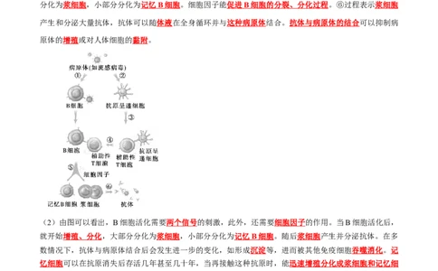 第4章免疫调节（背诵版）_新高考复习资料_2025年新高考资料_晨读晚默备战2025年高考生物必背知识清单_第4章免疫调节-晨读晚默备战2025年高考生物必背知识清单