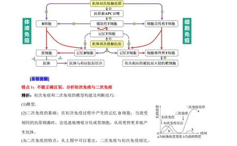 第4章免疫调节（背诵版）_新高考复习资料_2025年新高考资料_晨读晚默备战2025年高考生物必背知识清单_第4章免疫调节-晨读晚默备战2025年高考生物必背知识清单
