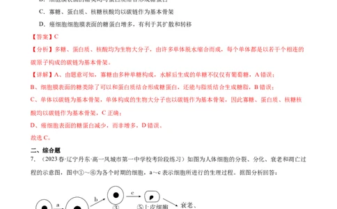 第2讲细胞分化、衰老、死亡（解析版）_通用版（老高考）复习资料_2024年复习资料_完备战2024年高考生物一轮复习考点帮（全国通用）_专题五细胞的生命历程