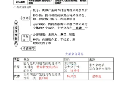 第29讲免疫调节（讲义）（学生版）_新高考复习资料_2024年新高考复习资料_一轮复习资料_完2024年高考生物一轮复习讲练测(课件+讲义+练习)（新高考）_讲义+练习