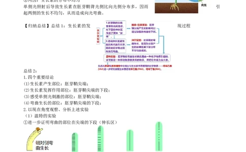 第32.1讲植物生长素（讲义）（教师版）_新高考复习资料_2024年新高考复习资料_一轮复习资料_完2024年高考生物一轮复习讲练测(课件+讲义+练习)（新高考）_讲义+练习
