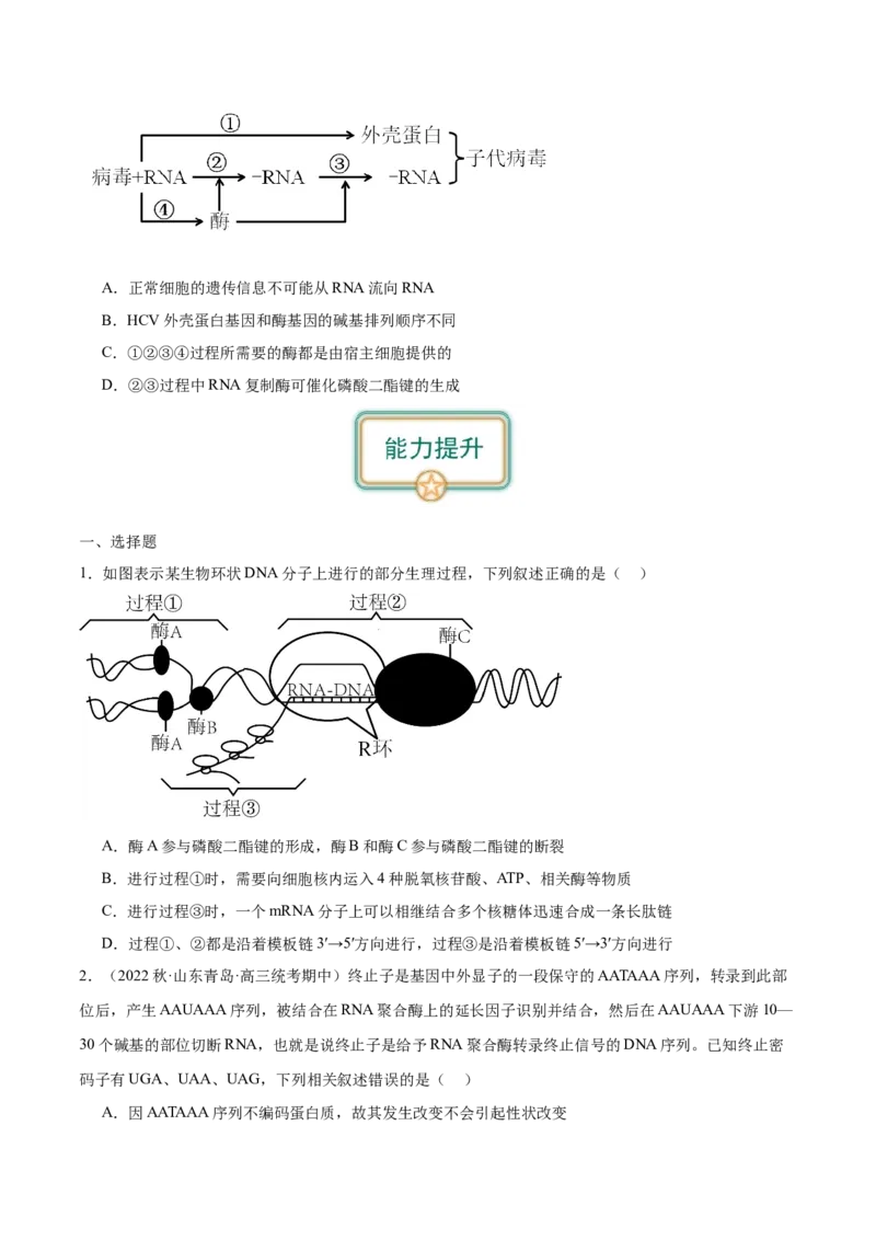 第3讲基因指导蛋白质的合成（原卷版）_通用版（老高考）复习资料_2024年复习资料_完备战2024年高考生物一轮复习考点帮（全国通用）_专题七遗传的物质基础
