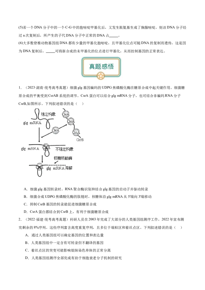 第3讲基因指导蛋白质的合成（原卷版）_通用版（老高考）复习资料_2024年复习资料_完备战2024年高考生物一轮复习考点帮（全国通用）_专题七遗传的物质基础