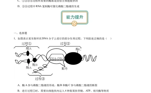 第3讲基因指导蛋白质的合成（原卷版）_通用版（老高考）复习资料_2024年复习资料_完备战2024年高考生物一轮复习考点帮（全国通用）_专题七遗传的物质基础