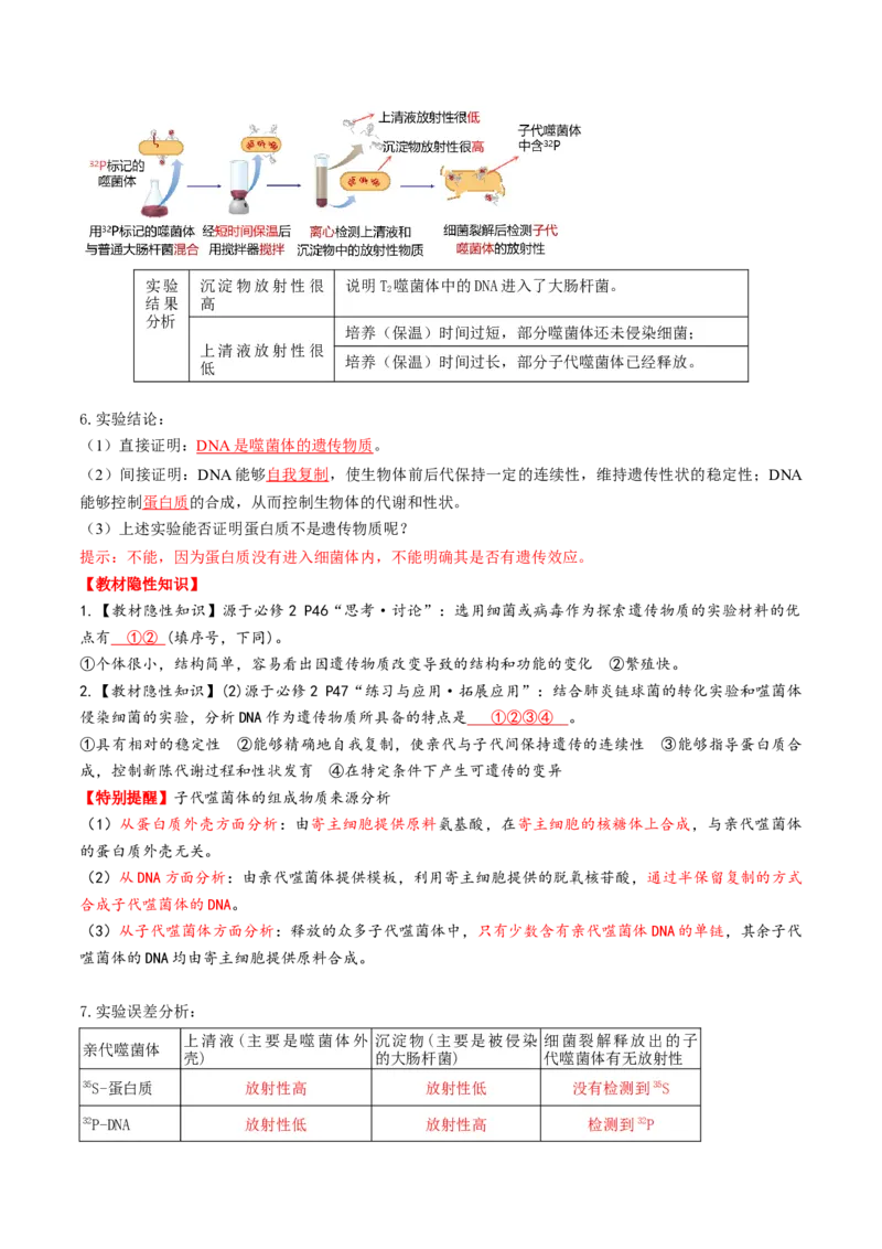 第19讲DNA是主要的遗传物质（讲义）（解析版）_2025年新高考资料_一轮复习_2025年高考生物一轮复习讲练测（新教材新高考）