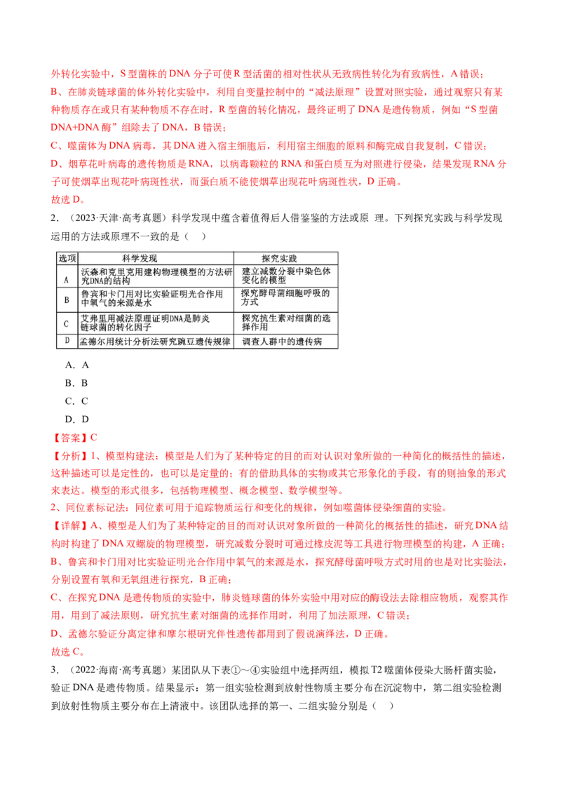 第19讲DNA是主要的遗传物质（讲义）（解析版）_2025年新高考资料_一轮复习_2025年高考生物一轮复习讲练测（新教材新高考）