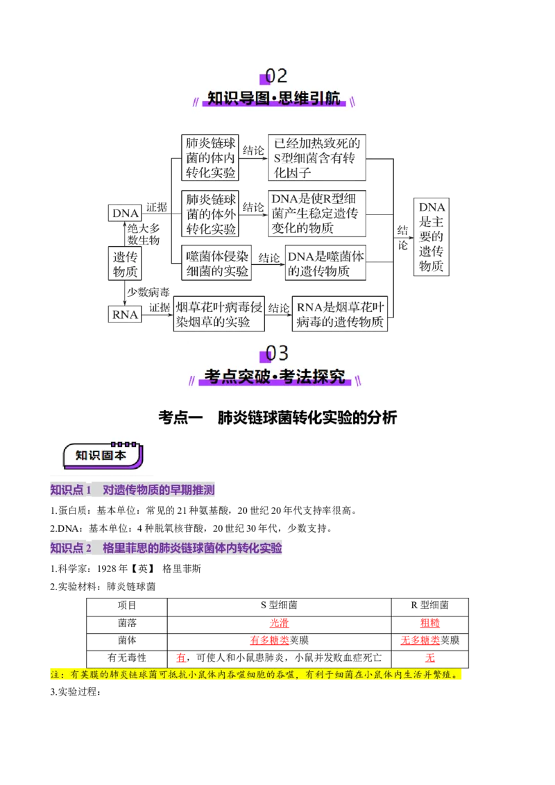 第19讲DNA是主要的遗传物质（讲义）（解析版）_2025年新高考资料_一轮复习_2025年高考生物一轮复习讲练测（新教材新高考）