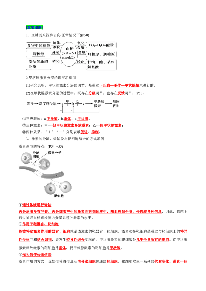 第3章体液调节（背诵版）_2025年新高考资料_专项复习_晨读晚默备战2025年高考生物必背知识清单_第3章体液调节-晨读晚默备战2025年高考生物必背知识清单