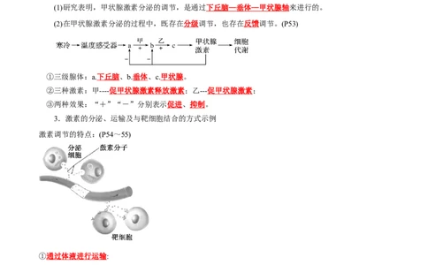 第3章体液调节（背诵版）_2025年新高考资料_专项复习_晨读晚默备战2025年高考生物必背知识清单_第3章体液调节-晨读晚默备战2025年高考生物必背知识清单