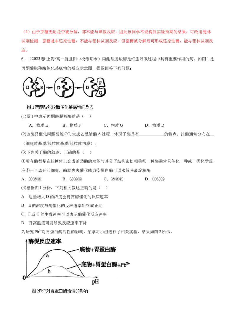 第1讲降低化学反应活化能的酶(解析版)_通用版（老高考）复习资料_2024年复习资料_完备战2024年高考生物一轮复习考点帮（全国通用）_专题四细胞的能量供应和利用