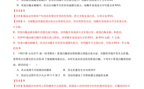 第1讲降低化学反应活化能的酶(解析版)_通用版（老高考）复习资料_2024年复习资料_完备战2024年高考生物一轮复习考点帮（全国通用）_专题四细胞的能量供应和利用