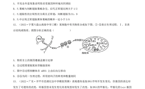 第18练基因的表达（原卷版）_新高考复习资料_2023年新高考复习资料_一轮复习_2023年高考生物一轮复习小题多维练（新高考专用）