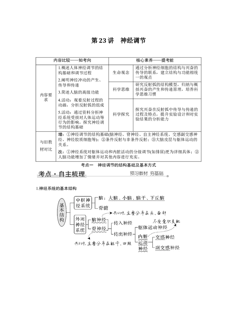 第23讲　神经调节_新高考复习资料_2023年新高考复习资料_一轮复习_2023年新高考大一轮复习讲义_2023年高考生物一轮复习讲义（新人教新高考）_赠补充习题_Word版题库第七~十单元