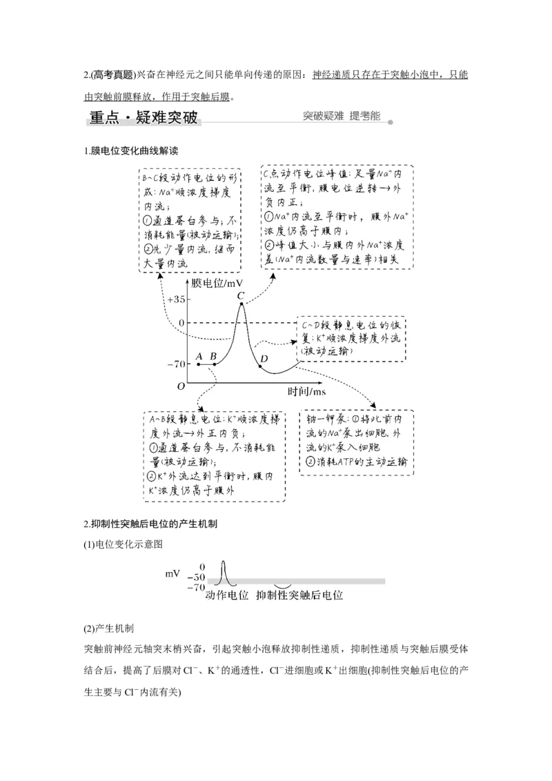 第23讲　神经调节_新高考复习资料_2023年新高考复习资料_一轮复习_2023年新高考大一轮复习讲义_2023年高考生物一轮复习讲义（新人教新高考）_赠补充习题_Word版题库第七~十单元