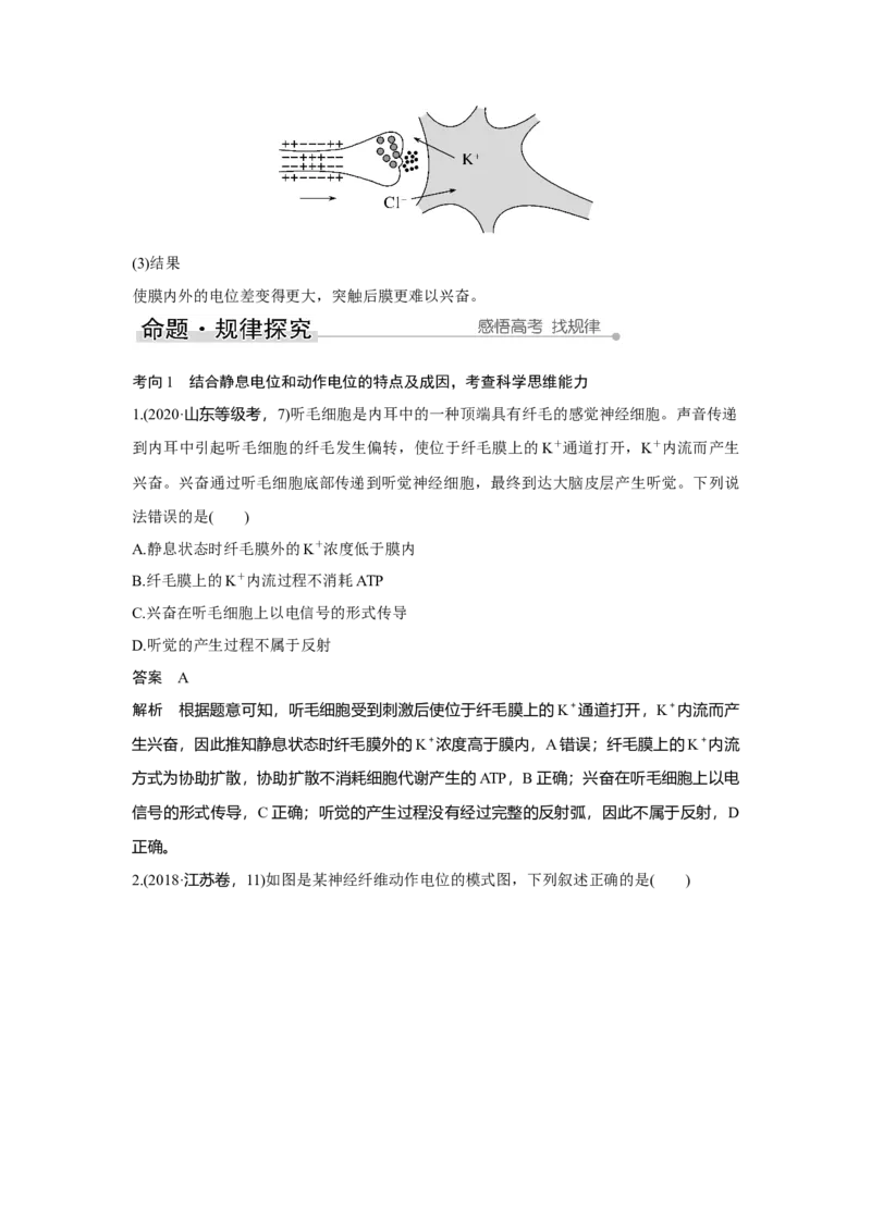 第23讲　神经调节_新高考复习资料_2023年新高考复习资料_一轮复习_2023年新高考大一轮复习讲义_2023年高考生物一轮复习讲义（新人教新高考）_赠补充习题_Word版题库第七~十单元