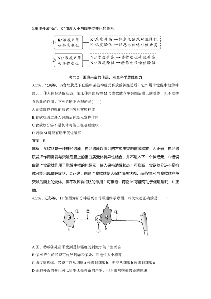 第23讲　神经调节_新高考复习资料_2023年新高考复习资料_一轮复习_2023年新高考大一轮复习讲义_2023年高考生物一轮复习讲义（新人教新高考）_赠补充习题_Word版题库第七~十单元