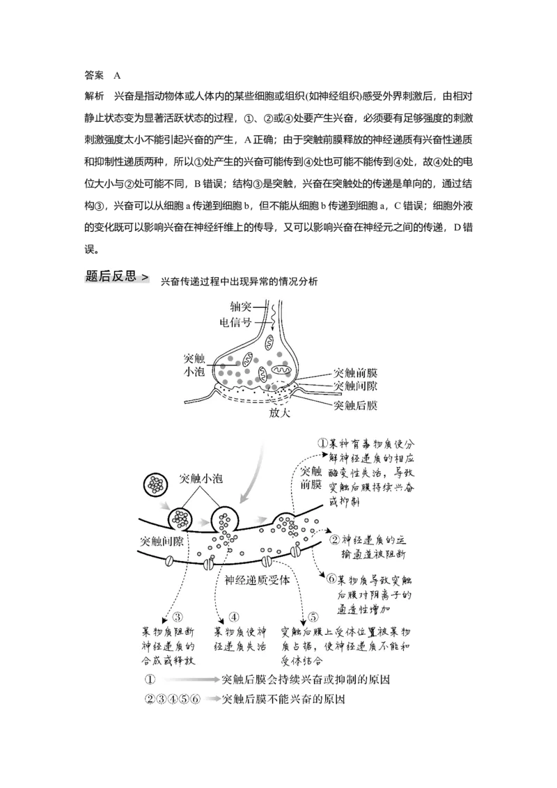 第23讲　神经调节_新高考复习资料_2023年新高考复习资料_一轮复习_2023年新高考大一轮复习讲义_2023年高考生物一轮复习讲义（新人教新高考）_赠补充习题_Word版题库第七~十单元