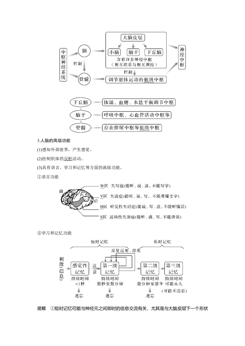 第23讲　神经调节_新高考复习资料_2023年新高考复习资料_一轮复习_2023年新高考大一轮复习讲义_2023年高考生物一轮复习讲义（新人教新高考）_赠补充习题_Word版题库第七~十单元