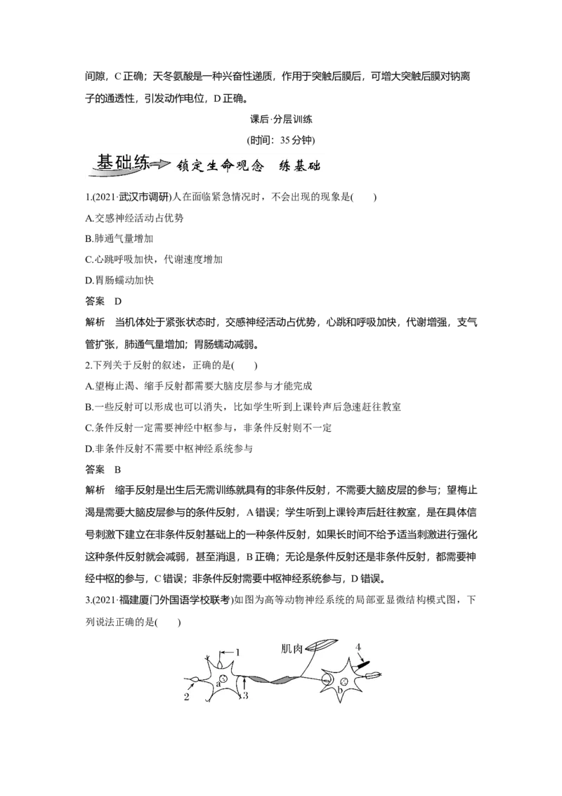 第23讲　神经调节_新高考复习资料_2023年新高考复习资料_一轮复习_2023年新高考大一轮复习讲义_2023年高考生物一轮复习讲义（新人教新高考）_赠补充习题_Word版题库第七~十单元