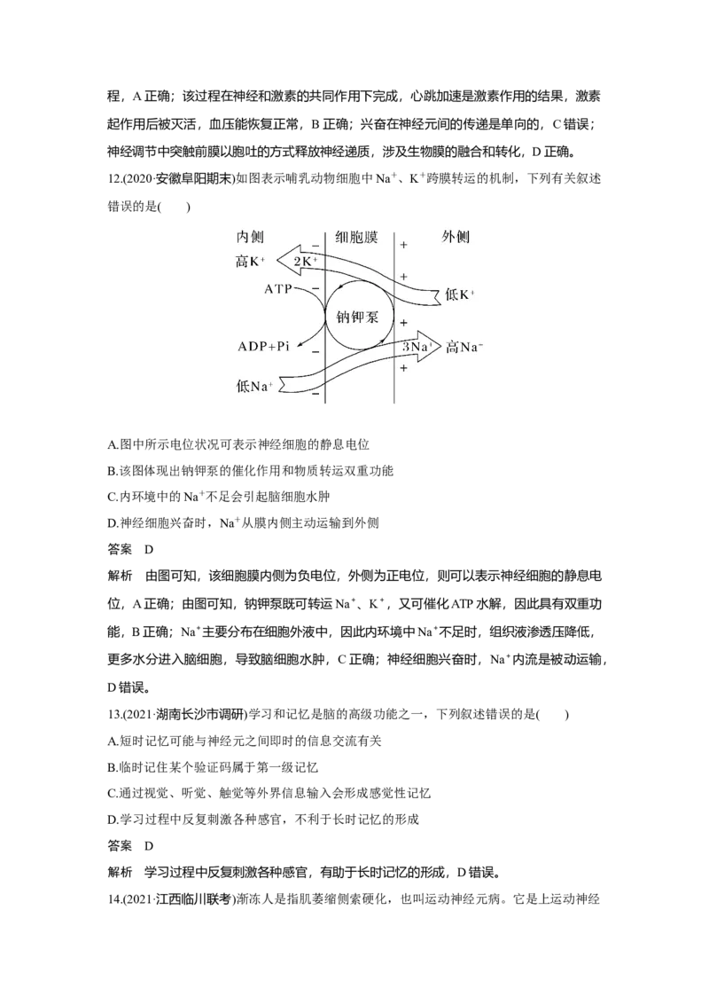 第23讲　神经调节_新高考复习资料_2023年新高考复习资料_一轮复习_2023年新高考大一轮复习讲义_2023年高考生物一轮复习讲义（新人教新高考）_赠补充习题_Word版题库第七~十单元