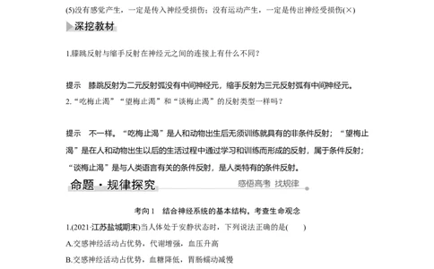 第23讲　神经调节_新高考复习资料_2023年新高考复习资料_一轮复习_2023年新高考大一轮复习讲义_2023年高考生物一轮复习讲义（新人教新高考）_赠补充习题_Word版题库第七~十单元