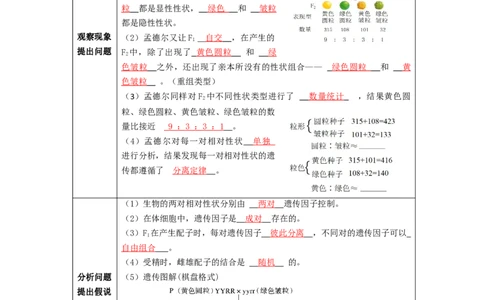 第2讲孟德尔的豌豆杂交实验（二）-精准备考备战2023年高考生物一轮复习精品讲义（生物学必修2）（解析版）_通用版（老高考）复习资料_2023年复习资料_一轮复习