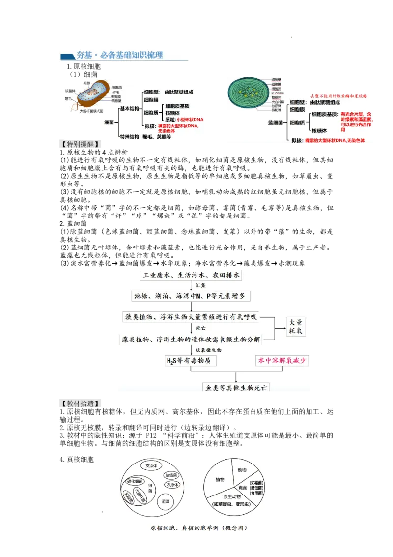 第1讲走近细胞（讲义）（学生版）_新高考复习资料_2024年新高考复习资料_一轮复习资料_完2024年高考生物一轮复习讲练测(课件+讲义+练习)（新高考）_讲义+练习