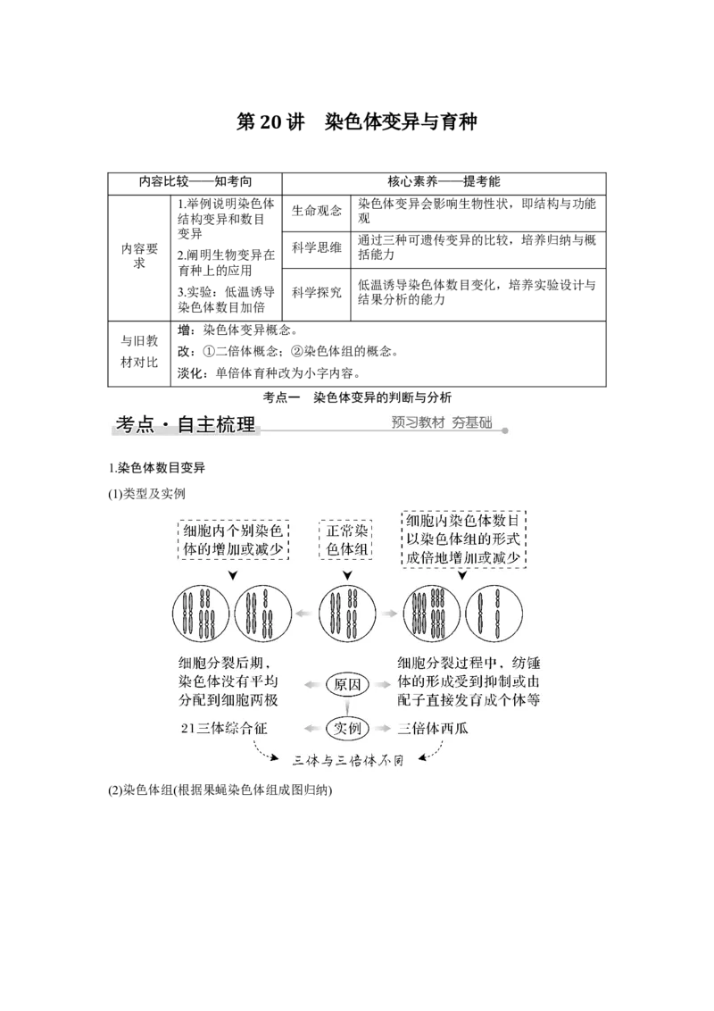 第20讲　染色体变异与育种_新高考复习资料_2023年新高考复习资料_一轮复习_2023年新高考大一轮复习讲义_2023年高考生物一轮复习讲义（新人教新高考）_赠补充习题