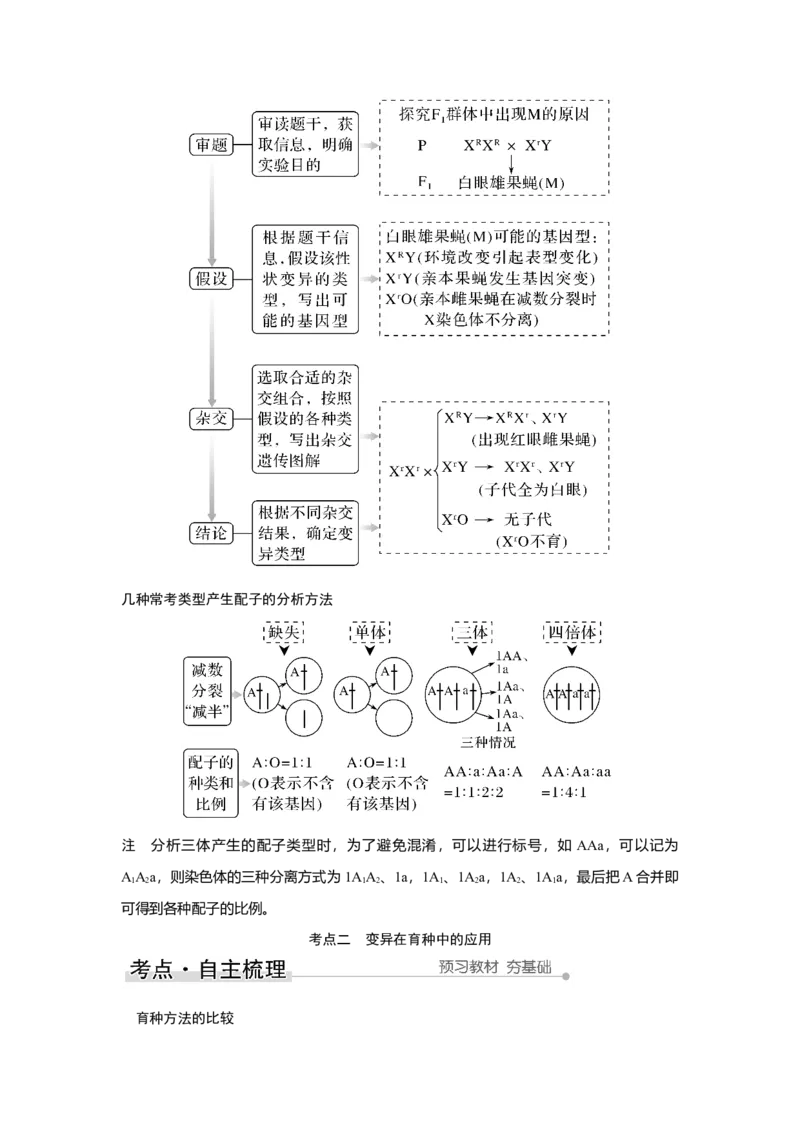 第20讲　染色体变异与育种_新高考复习资料_2023年新高考复习资料_一轮复习_2023年新高考大一轮复习讲义_2023年高考生物一轮复习讲义（新人教新高考）_赠补充习题