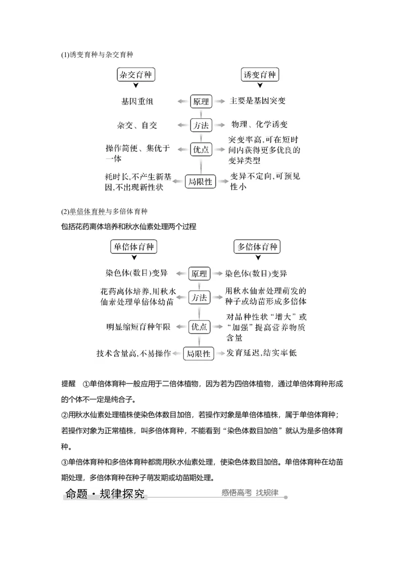 第20讲　染色体变异与育种_新高考复习资料_2023年新高考复习资料_一轮复习_2023年新高考大一轮复习讲义_2023年高考生物一轮复习讲义（新人教新高考）_赠补充习题