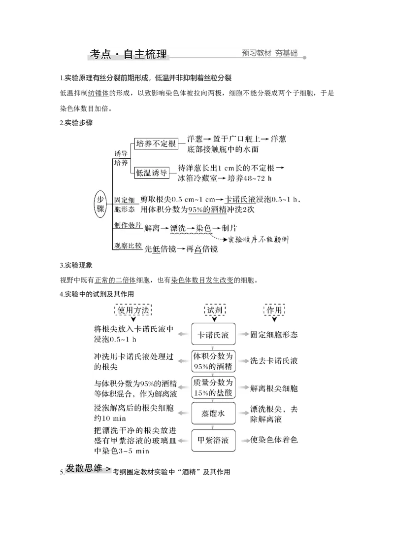 第20讲　染色体变异与育种_新高考复习资料_2023年新高考复习资料_一轮复习_2023年新高考大一轮复习讲义_2023年高考生物一轮复习讲义（新人教新高考）_赠补充习题
