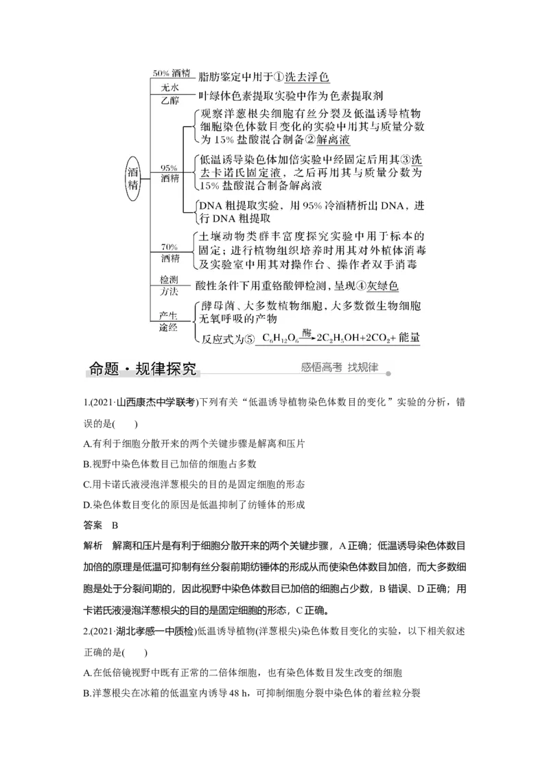 第20讲　染色体变异与育种_新高考复习资料_2023年新高考复习资料_一轮复习_2023年新高考大一轮复习讲义_2023年高考生物一轮复习讲义（新人教新高考）_赠补充习题