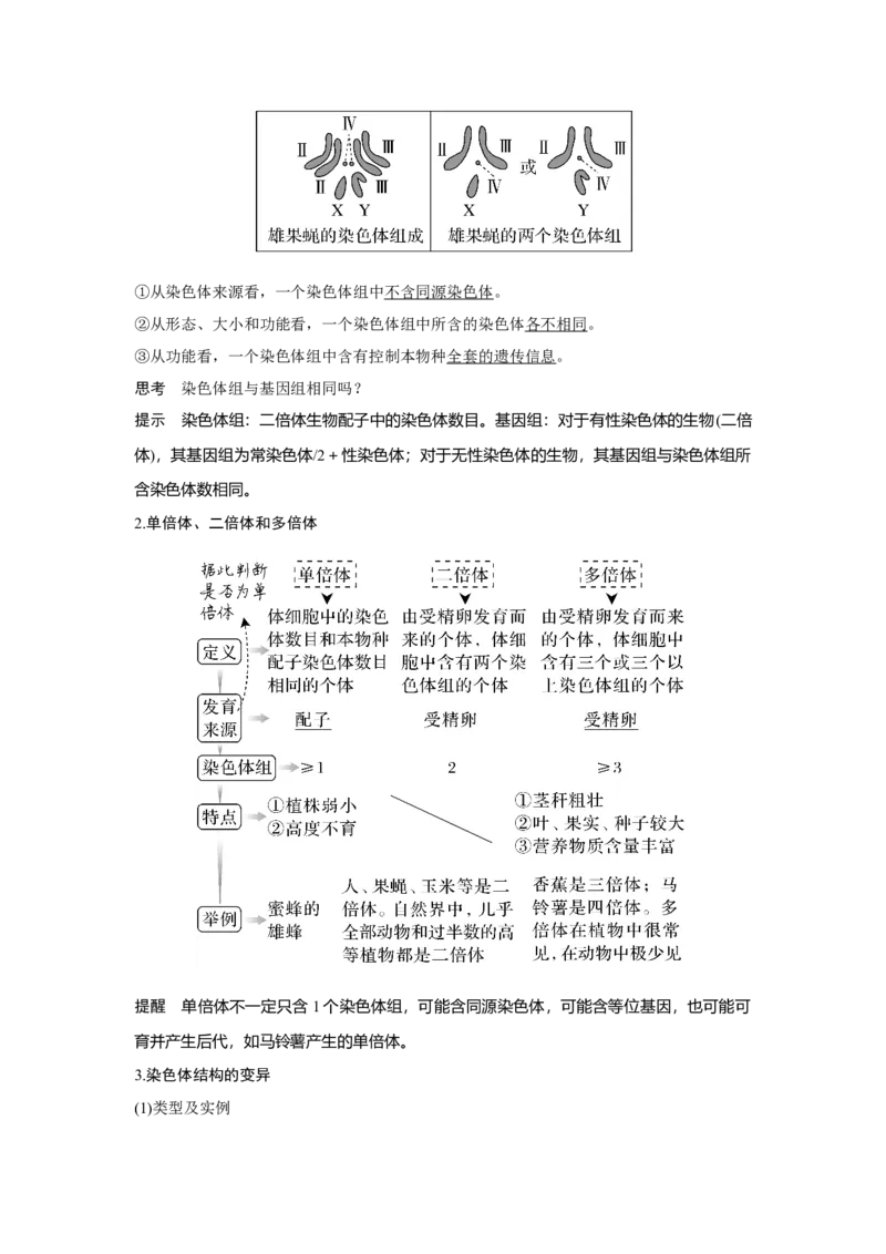 第20讲　染色体变异与育种_新高考复习资料_2023年新高考复习资料_一轮复习_2023年新高考大一轮复习讲义_2023年高考生物一轮复习讲义（新人教新高考）_赠补充习题