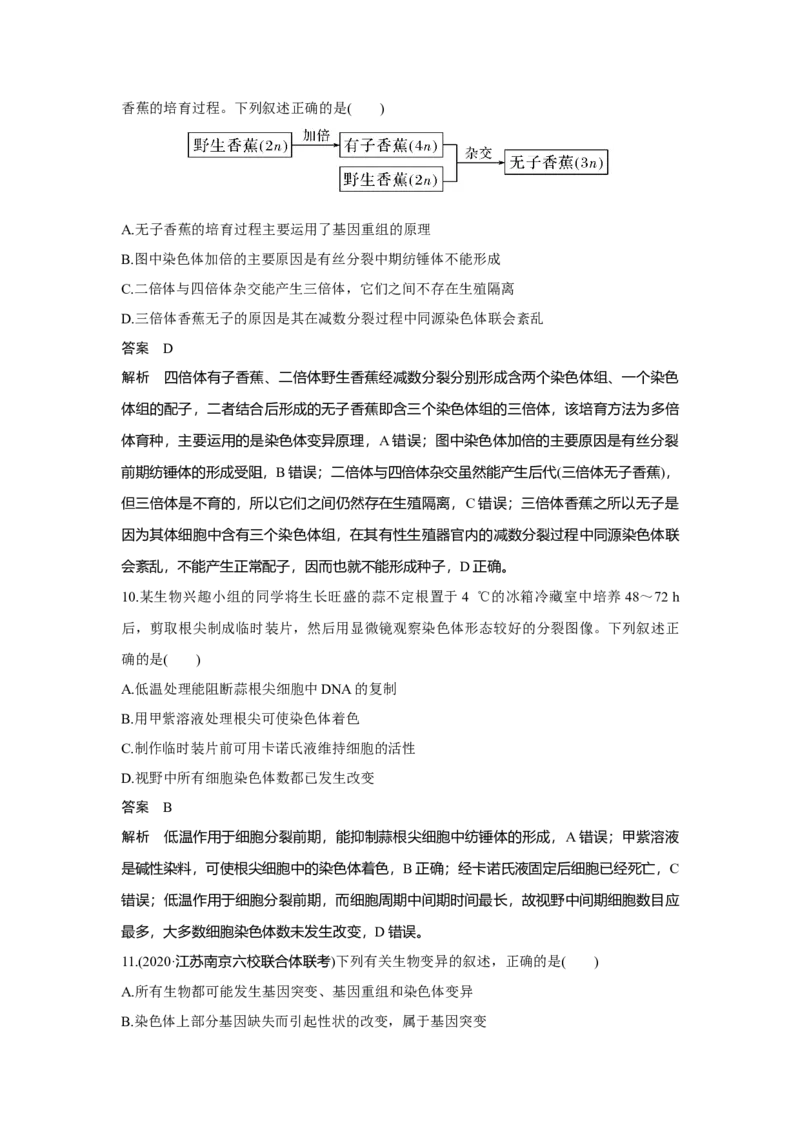 第20讲　染色体变异与育种_新高考复习资料_2023年新高考复习资料_一轮复习_2023年新高考大一轮复习讲义_2023年高考生物一轮复习讲义（新人教新高考）_赠补充习题