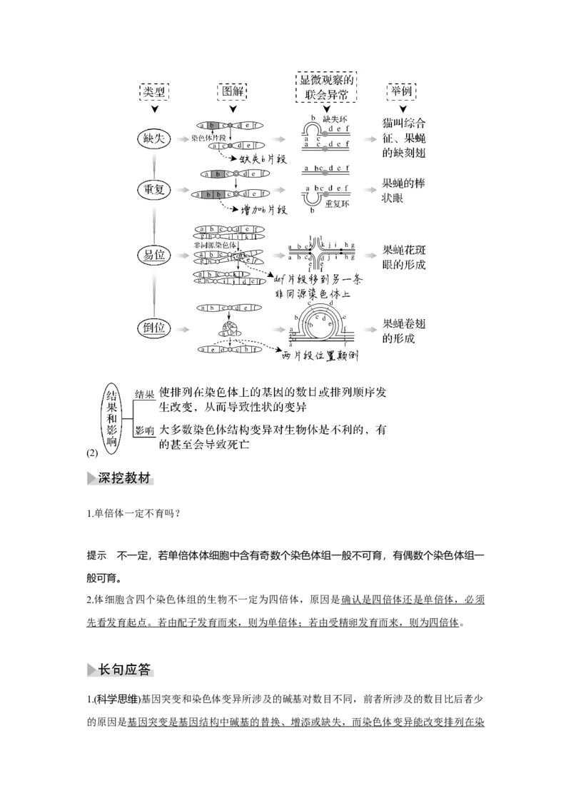 第20讲　染色体变异与育种_新高考复习资料_2023年新高考复习资料_一轮复习_2023年新高考大一轮复习讲义_2023年高考生物一轮复习讲义（新人教新高考）_赠补充习题